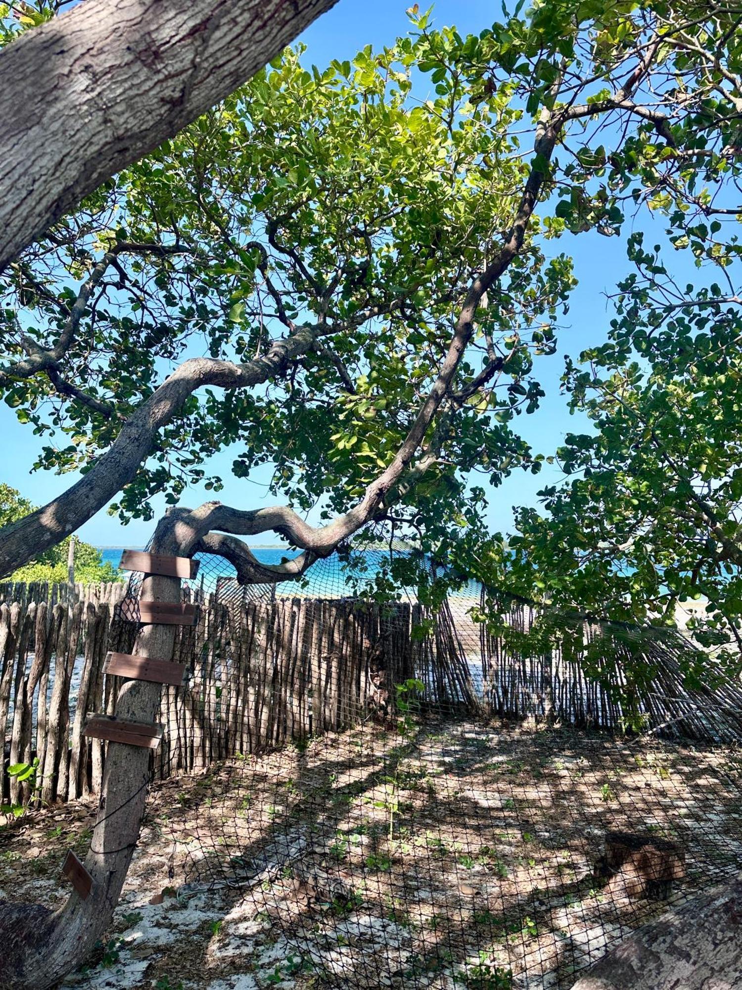 Willa Manay Lagoa Do Paraiso, Casa 2 Quartos Na Beira Da Lagoa Jijoca de Jericoacoara Zewnętrze zdjęcie